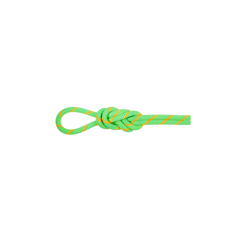 Mammut 8.0  Alpine Eco Dry Rope neon green-vibrant orange 50m 