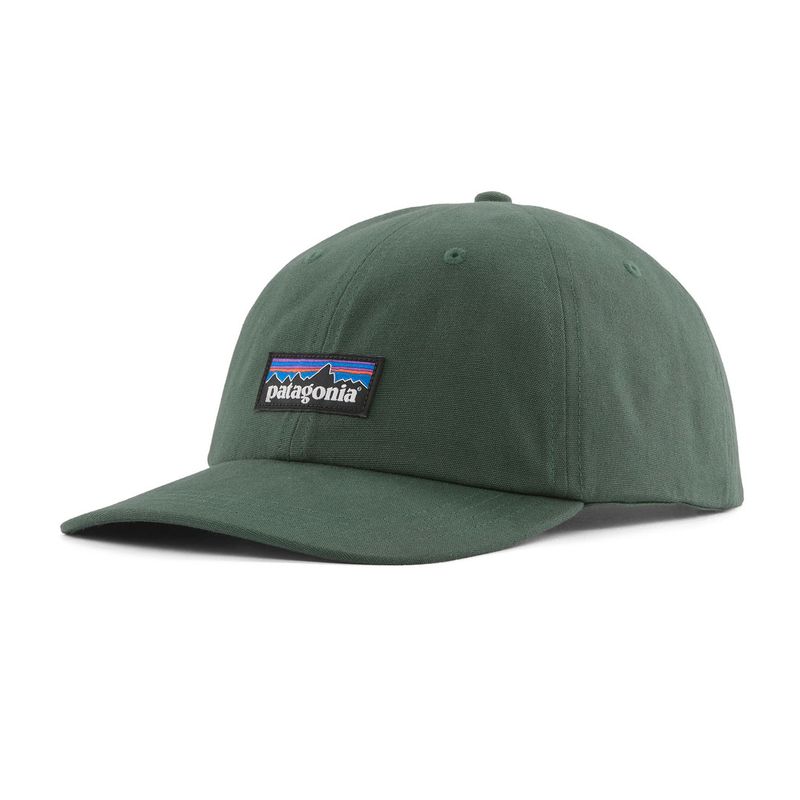 Patagonia P-6 Label Trad Cap canopy green