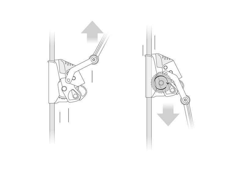 Petzl Asap® Lock