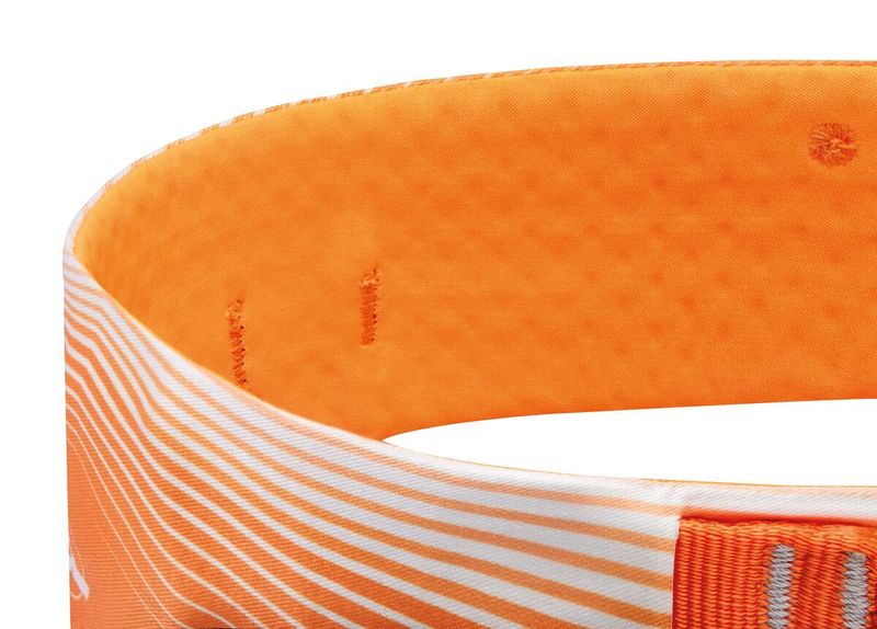 Petzl Sitta Harness