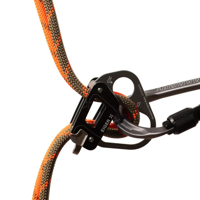 Mammut 8.0 Alpine Dry Rope boa-safety orange 30 meter