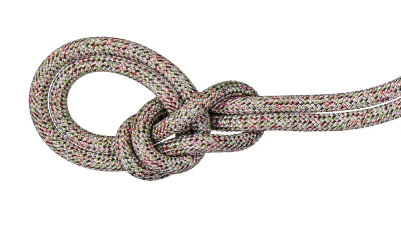 Mammut 9.5 Crag We Care Classic Rope 40 meter