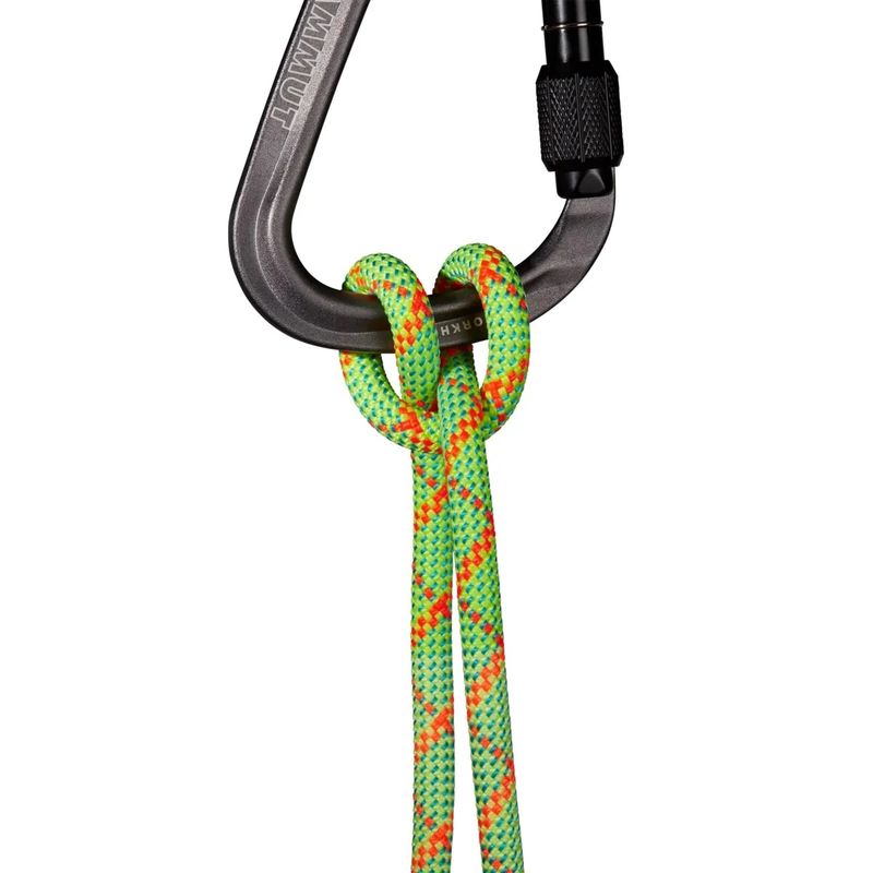 Mammut 8.0 Alpine Core Protect Dry Rope Dry Standard halo-vibrant orange 50m