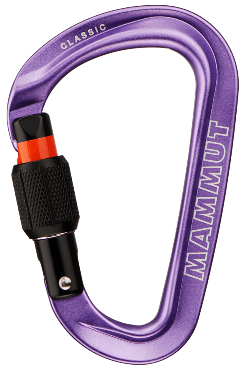 Mammut Classic HMS Screwgate Carabiner alpine calamint