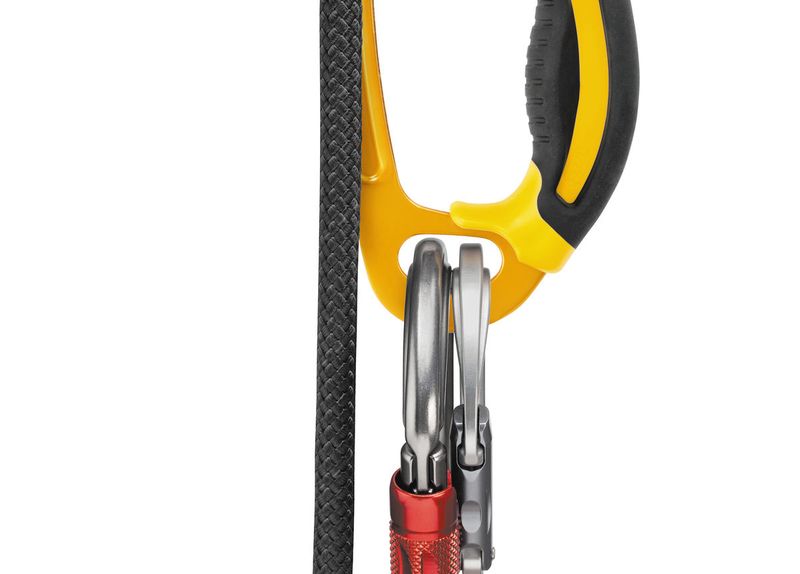 Petzl Ascension right