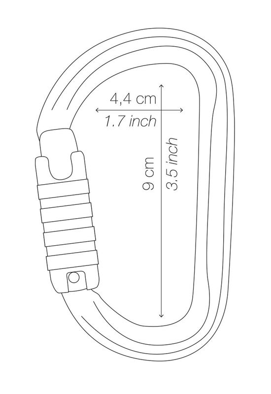 Petzl Am'D Ball-Lock gray
